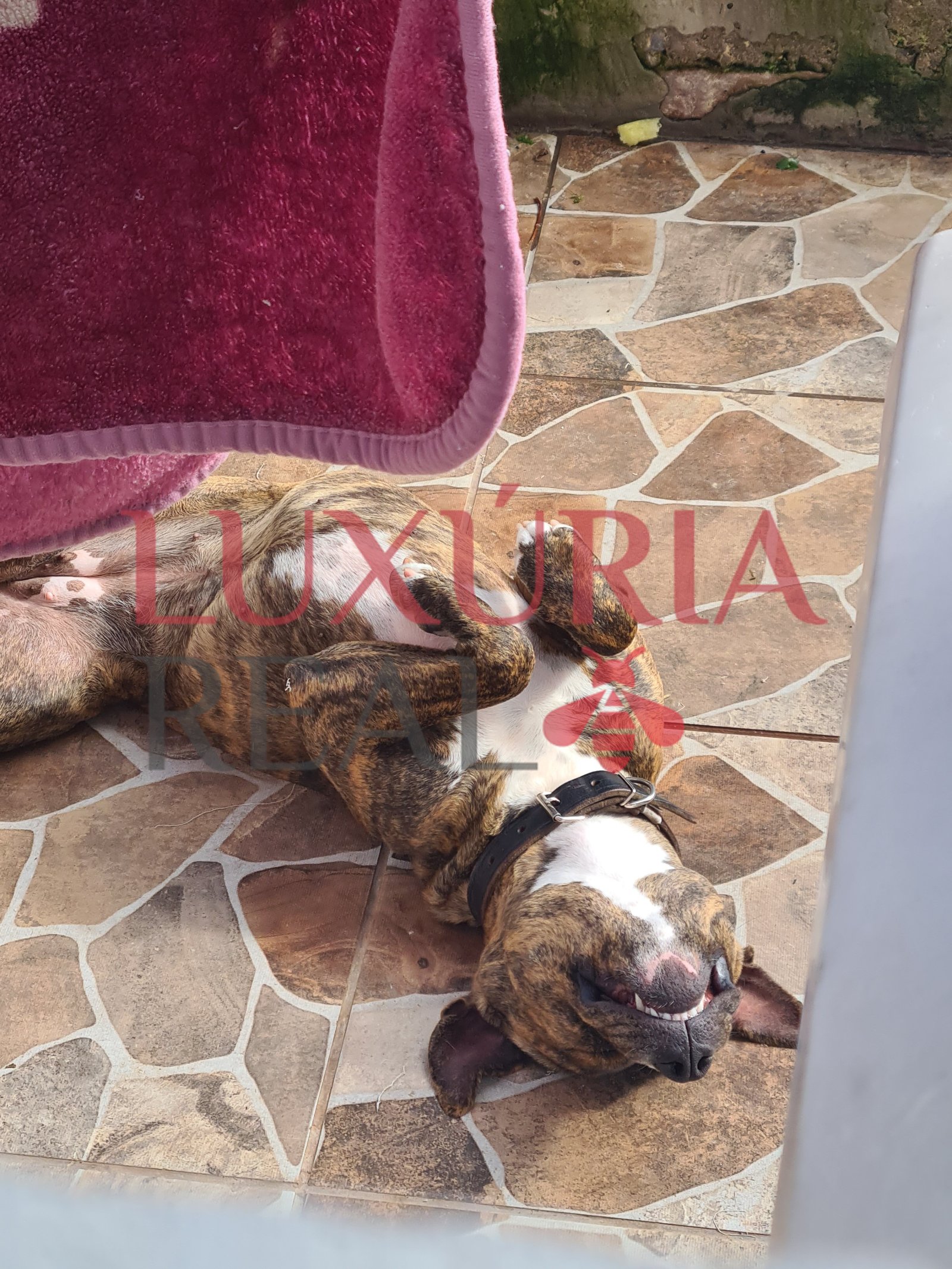 Foto Corpo com Rosto Coberto