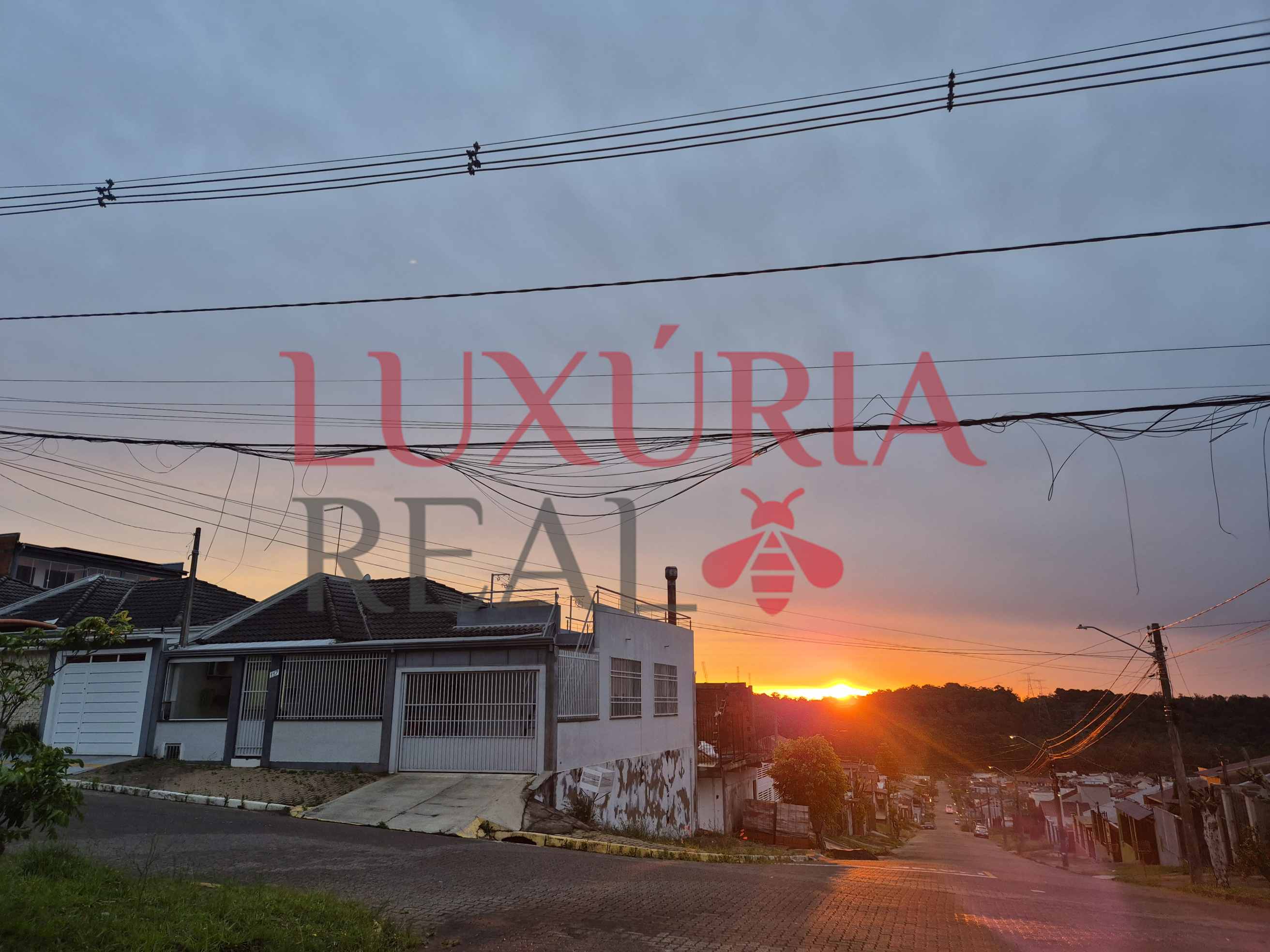 TesteHomolog5 Independente